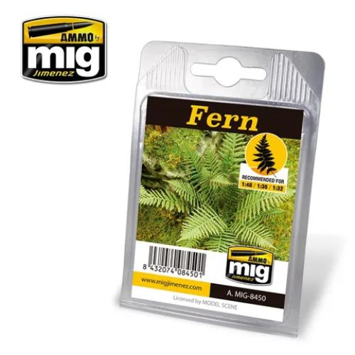 Ammo Fern Plant