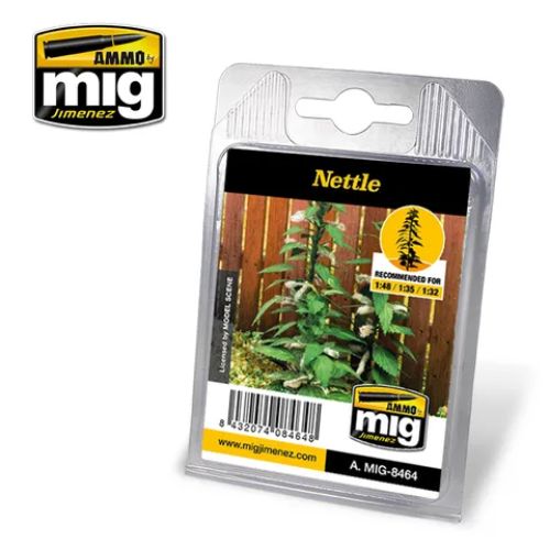 Ammo Nettle Plant