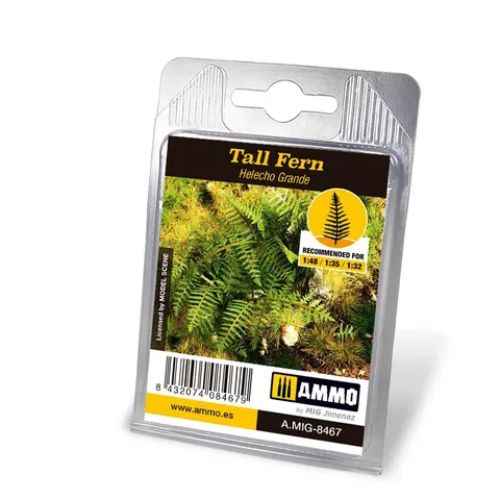 Ammo Tall Fern Plant