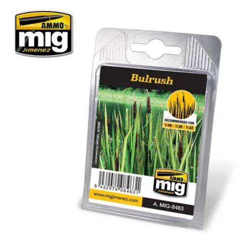 Ammo Bulrush plant